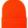 Classics Thinsulate Cuffed Beanie