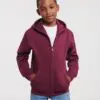 Kids' Authentic Zipped Hood Sweat