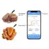 Thermometer BBQ PRO Wireless