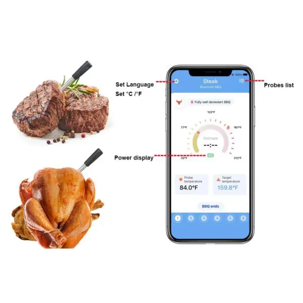 Thermometer BBQ PRO Wireless