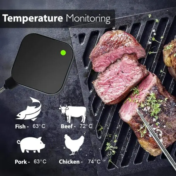 Thermometer BBQ PRO Wireless