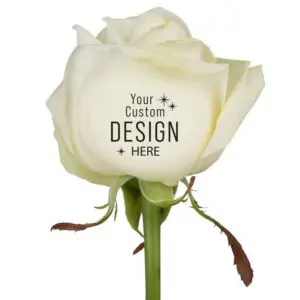 Message Printz® - Rose