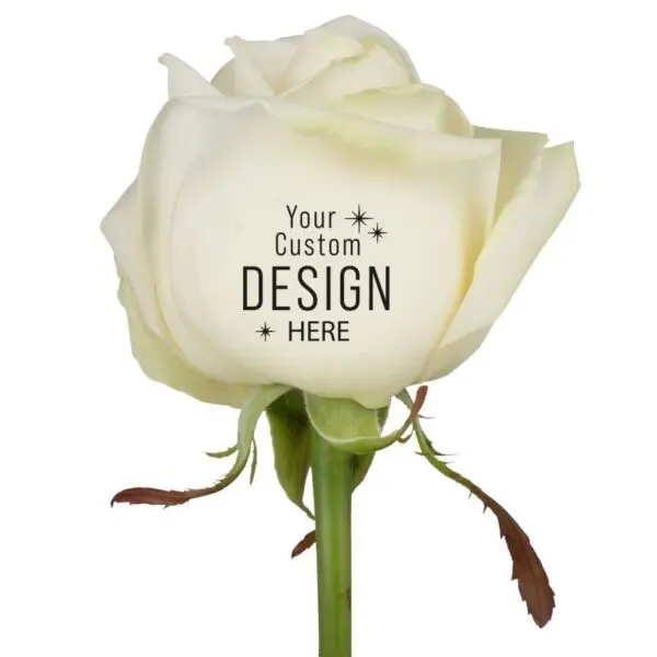 Message Printz® - Rose