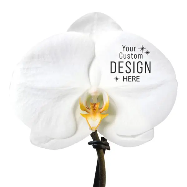 Message Printz® - Singolo Orchidee