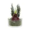 No Water Flowers® - Christmas glass elegance