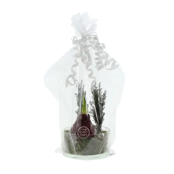 No Water Flowers® - Christmas glass elegance