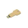 USB Stick Greencard key