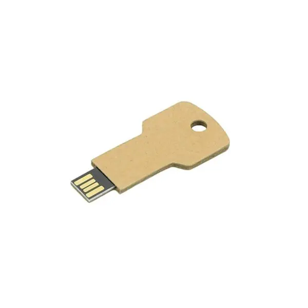 USB Stick Greencard key