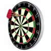 Original Dartboard Digi