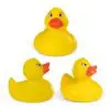 DUCK. Gummiente aus PVC