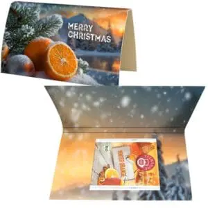 Beuteltee Winter Orange, 2,25g, Werbekarte gefaltet