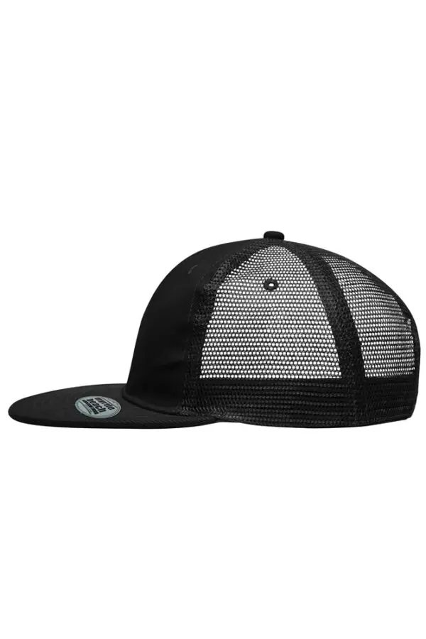 Cap 6 Panel Flat Peak