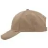 Cap Brushed 6 Panel