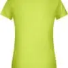 Ladies' Basic-T