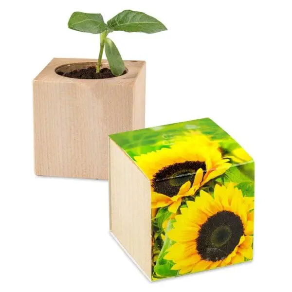 Pflanz-Holz - Standardmotiv - Sonnenblume