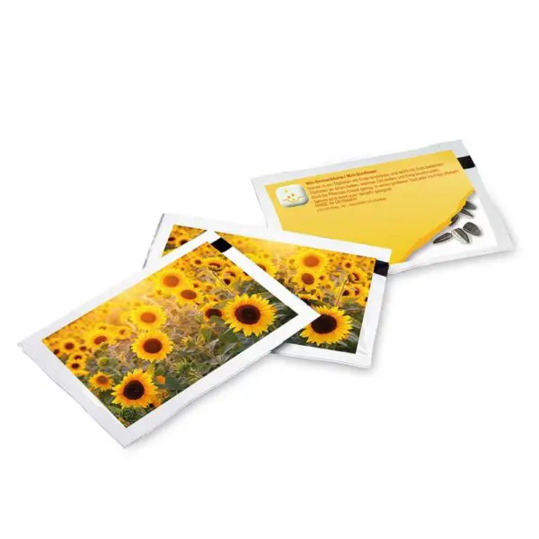 Samen-Briefchen - Standardmotiv - Sonnenblume