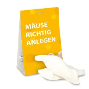 Naschtasche Mäuse richtig anlegen