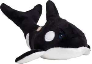 Orca Phil