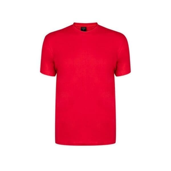 Erwachsene Farbe T-Shirt Premium