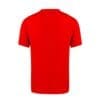 Erwachsene Farbe T-Shirt Seiyo