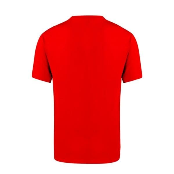 Erwachsene Farbe T-Shirt Seiyo