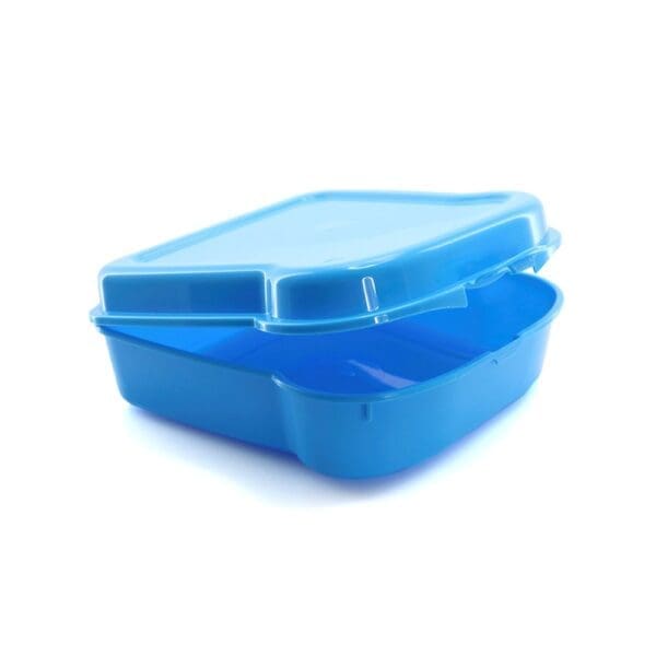 Sandwich Lunch Box Noix