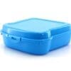 Sandwich Lunch Box Noix