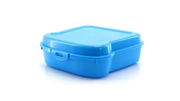 Sandwich Lunch Box Noix