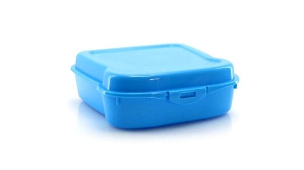 Sandwich Lunch Box Noix