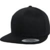 FLEXFIT - Organic Cotton Snapback