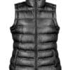 Result - Women´s Ice Bird Padded Gilet